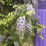 Boréas 3* Wissant