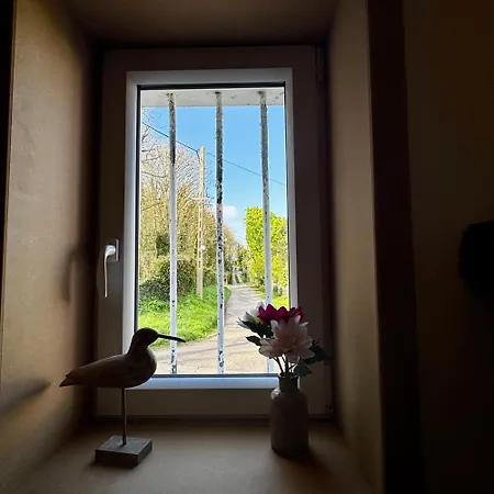 Bed & Breakfast Boreas Wissant